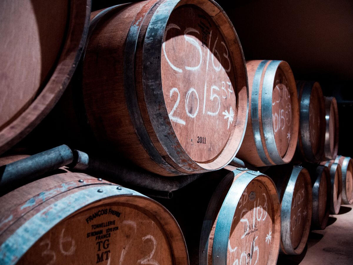 Whisky Pups NFT Drops